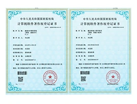 易售乐公司荣誉 5