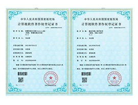 易售乐公司荣誉 8